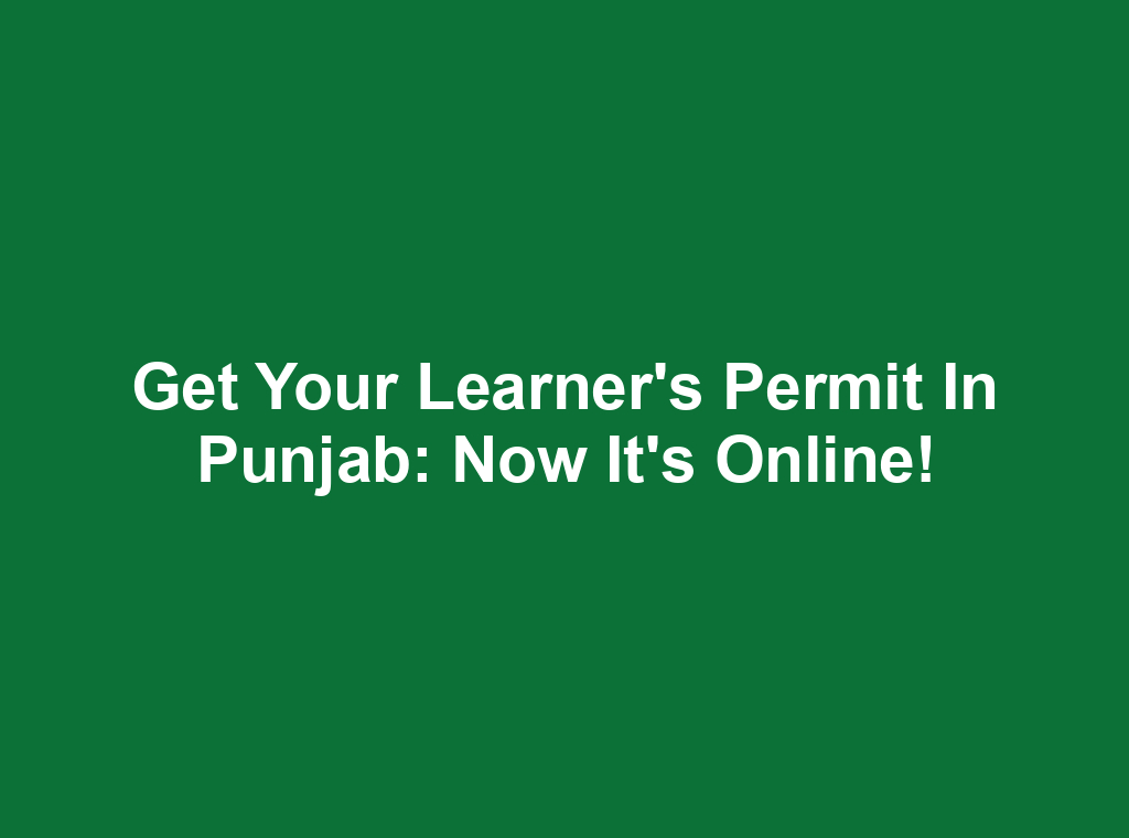 Get Your Learner's Permit in Punjab: Now It's Online!